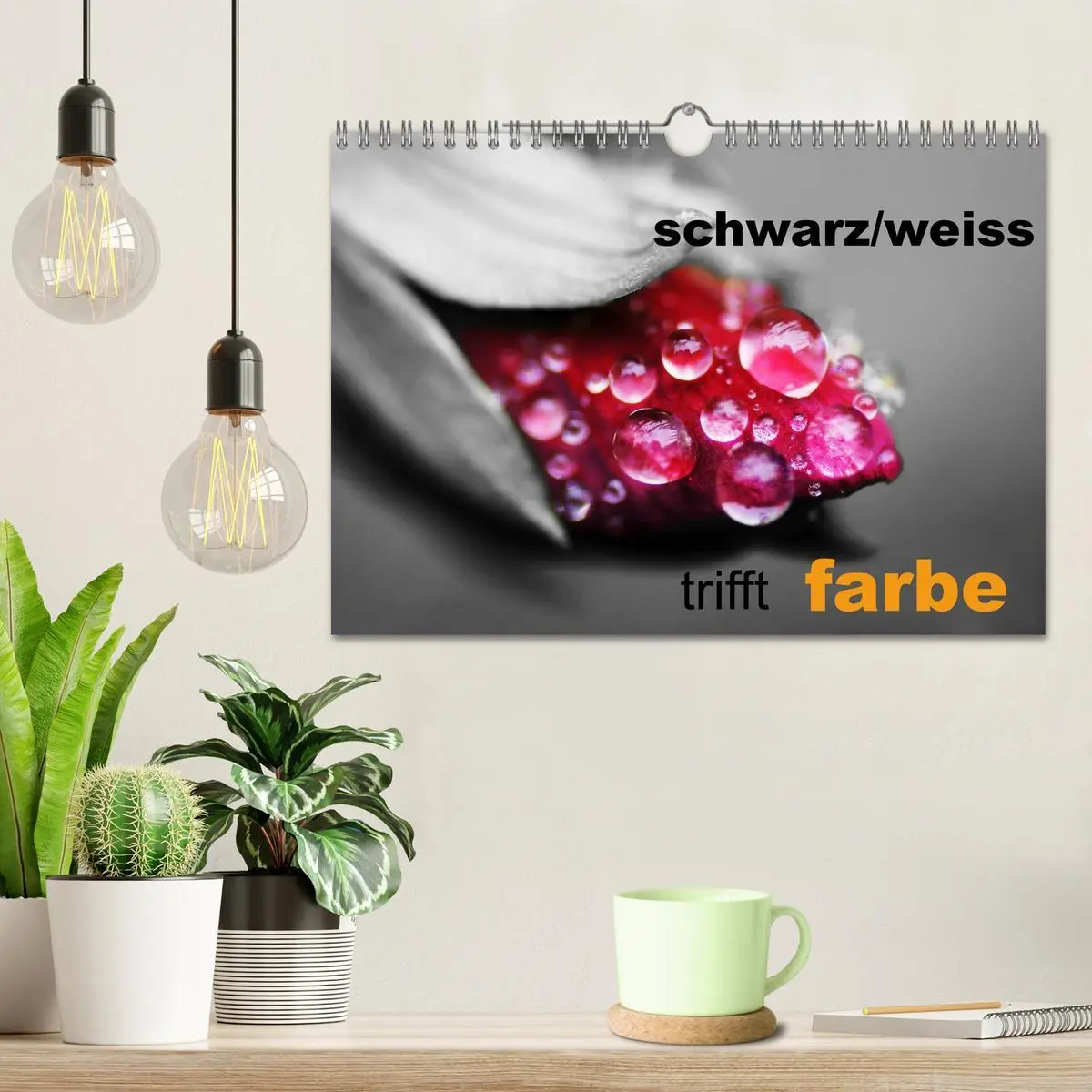 Bild: 9783516157741 | schwarz/weiß trifft farbe (Wandkalender 2026 DIN A4 quer), CALVENDO...