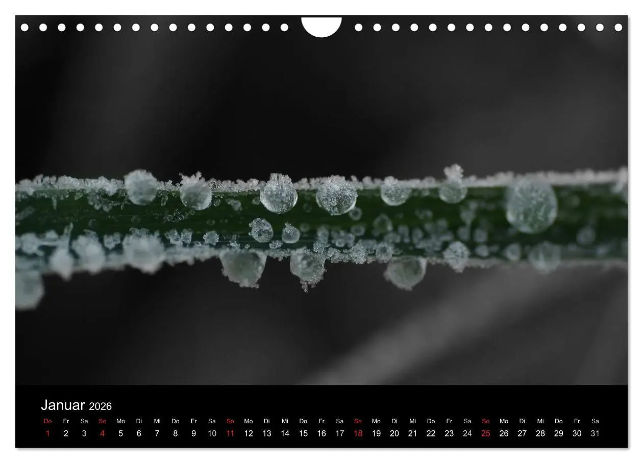 Bild: 9783516157741 | schwarz/weiß trifft farbe (Wandkalender 2026 DIN A4 quer), CALVENDO...