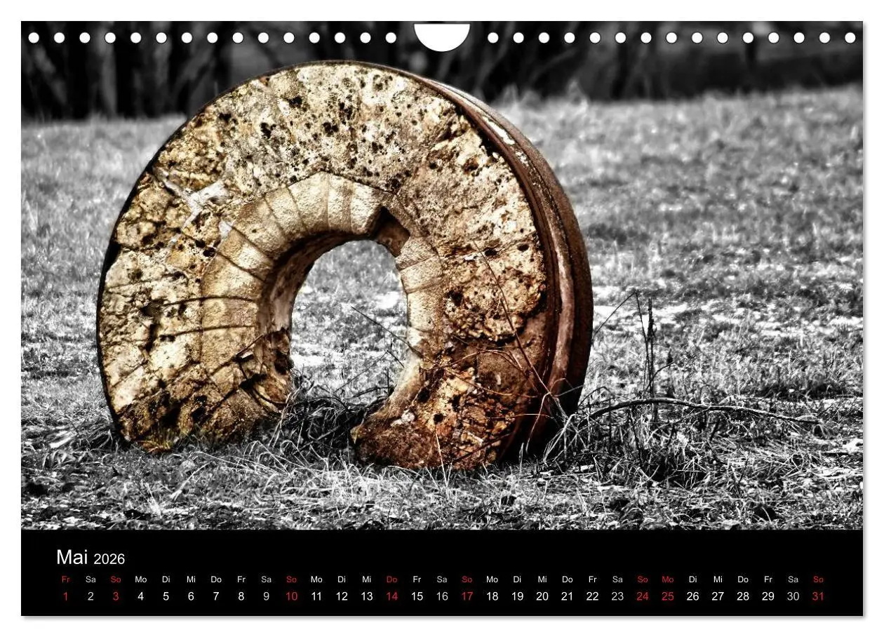 Bild: 9783516157741 | schwarz/weiß trifft farbe (Wandkalender 2026 DIN A4 quer), CALVENDO...