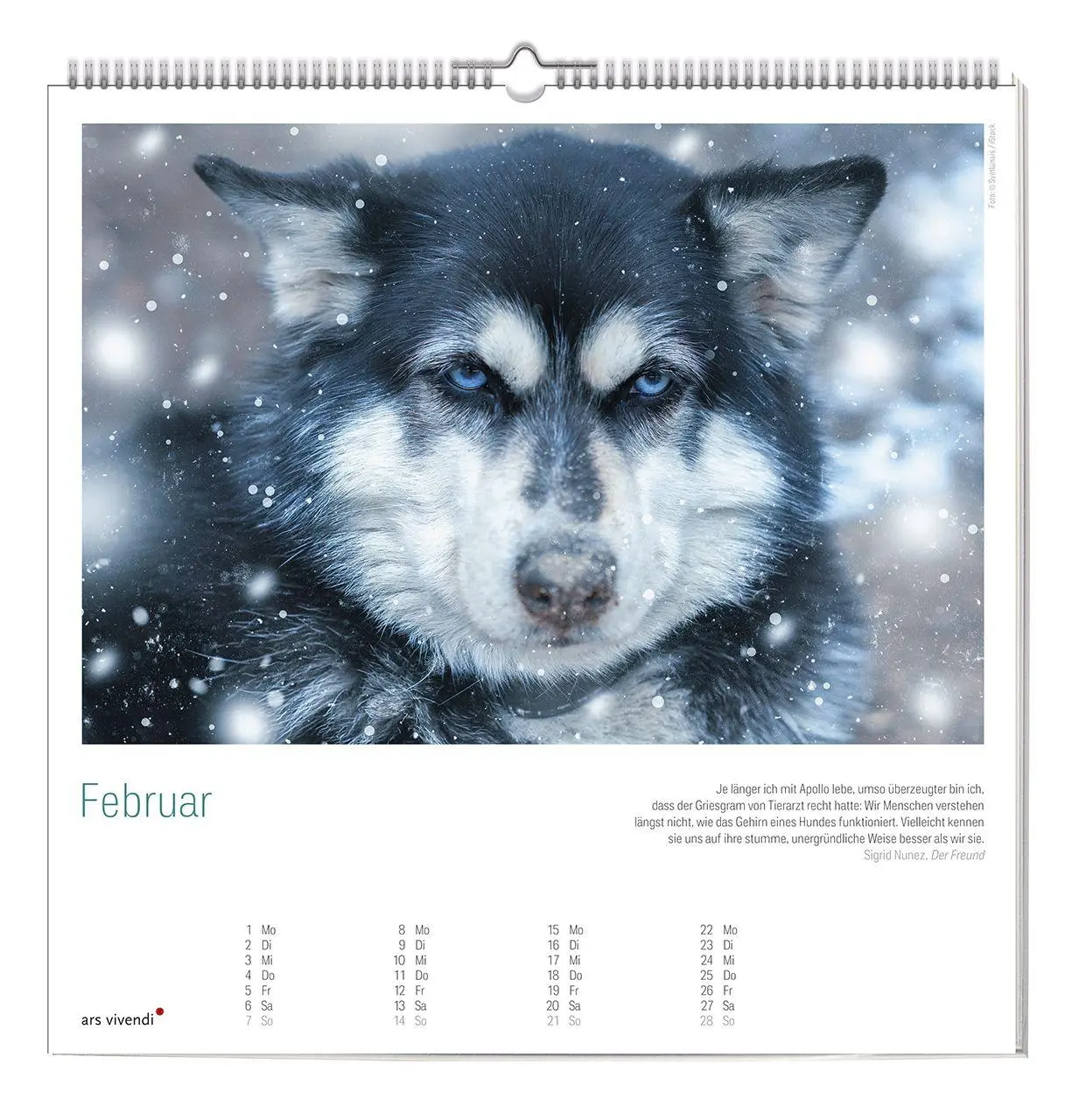 Bild: 9783747207741 | Der große literarische Hunde Kalender 2027 | Wandkalender | Ars | 2027