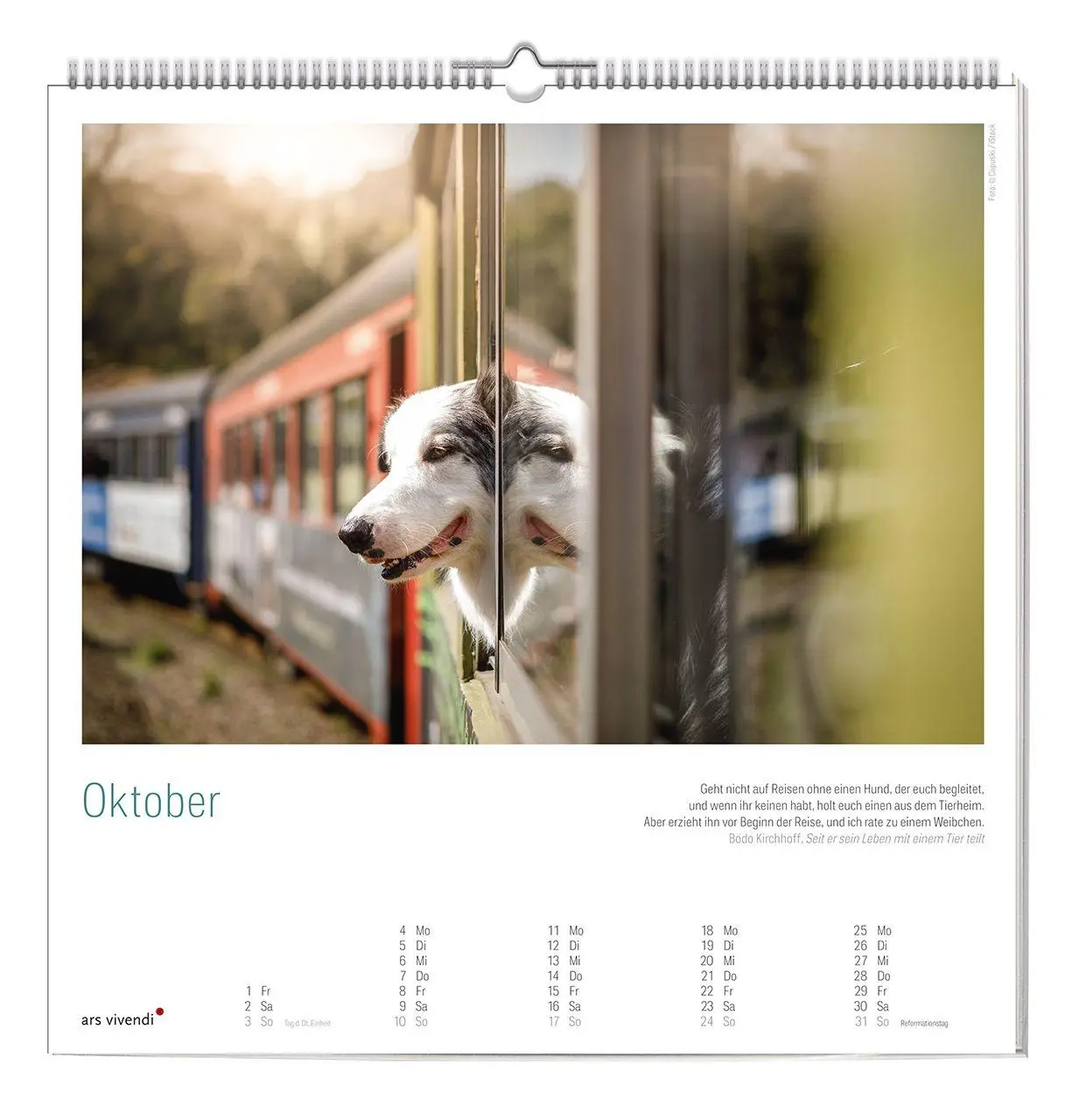 Bild: 9783747207741 | Der große literarische Hunde Kalender 2027 | Wandkalender | Ars | 2027