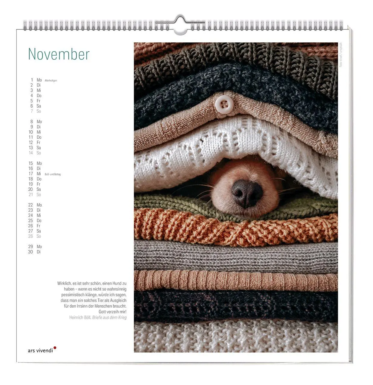 Bild: 9783747207741 | Der große literarische Hunde Kalender 2027 | Wandkalender | Ars | 2027