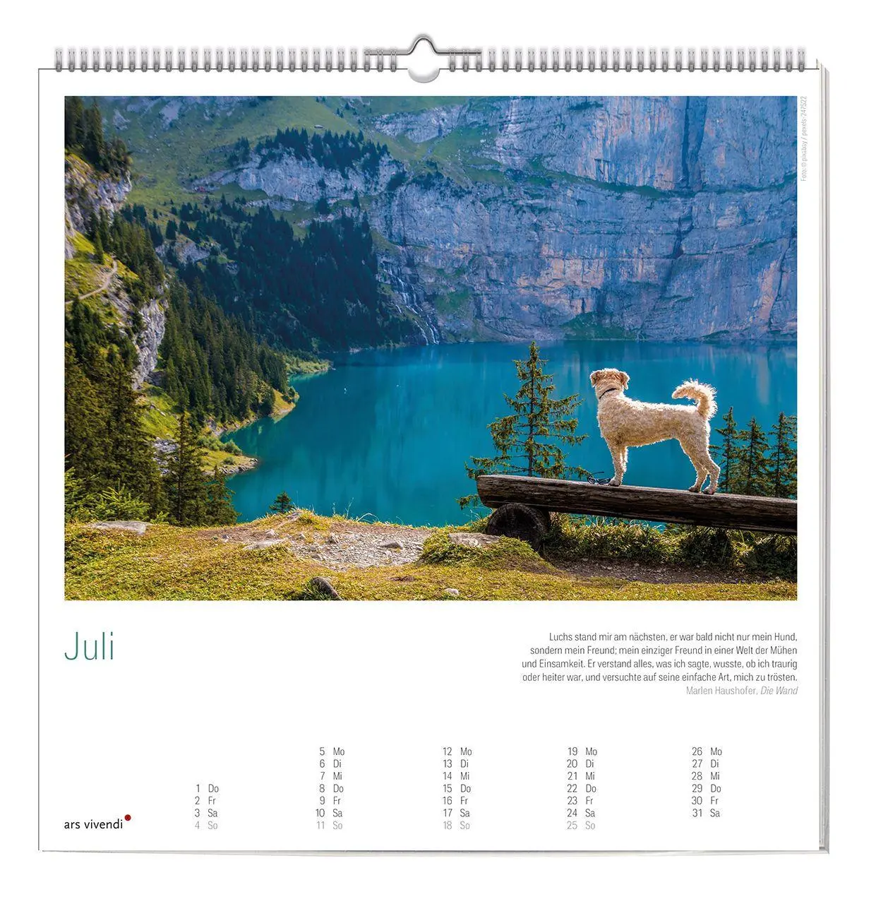 Bild: 9783747207741 | Der große literarische Hunde Kalender 2027 | Wandkalender | Ars | 2027