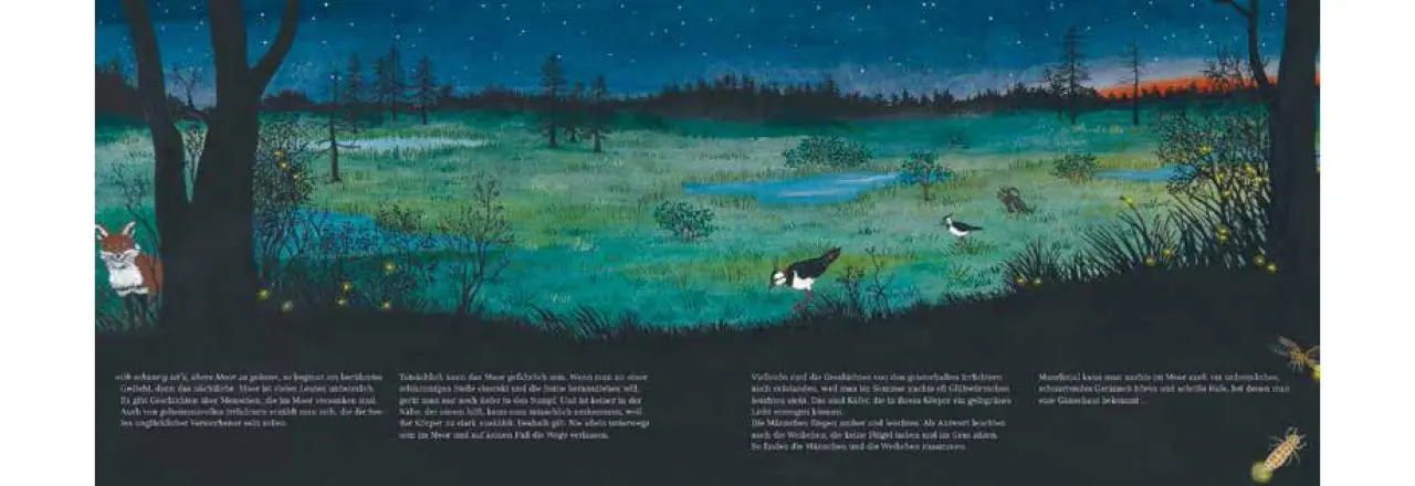 Bild: 9783715207841 | Im Moor - Kiebitz, Frosch und Sonnentau | Eva Sixt | Buch | 32 S.