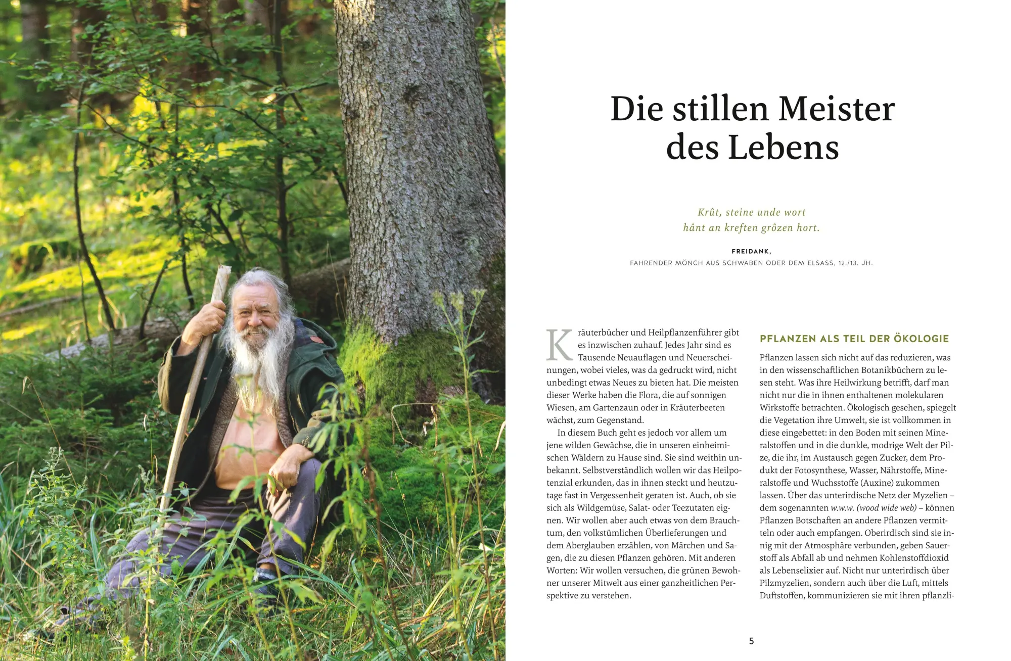 Bild: 9783833877841 | Meine Kräuter des Waldes | Wolf-Dieter Storl | Buch | GU Garten extra