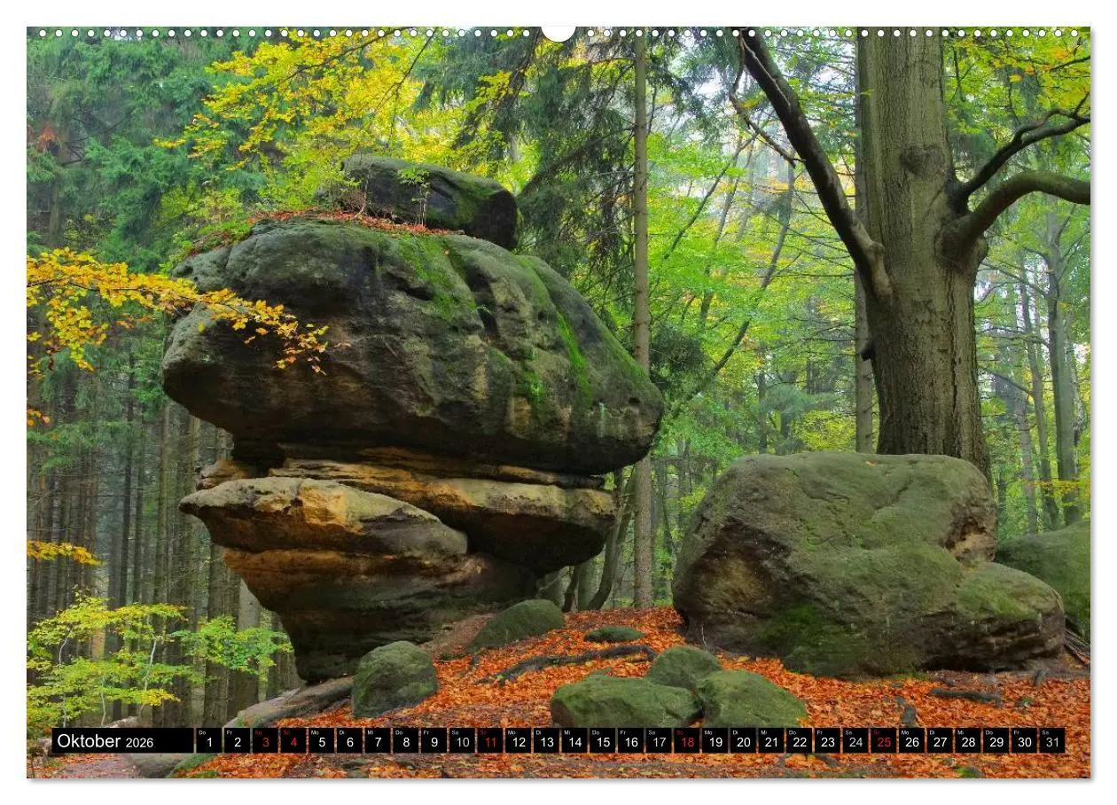 Bild: 9783516137941 | Elbsandsteingebirge (Wandkalender 2026 DIN A2 quer), CALVENDO...