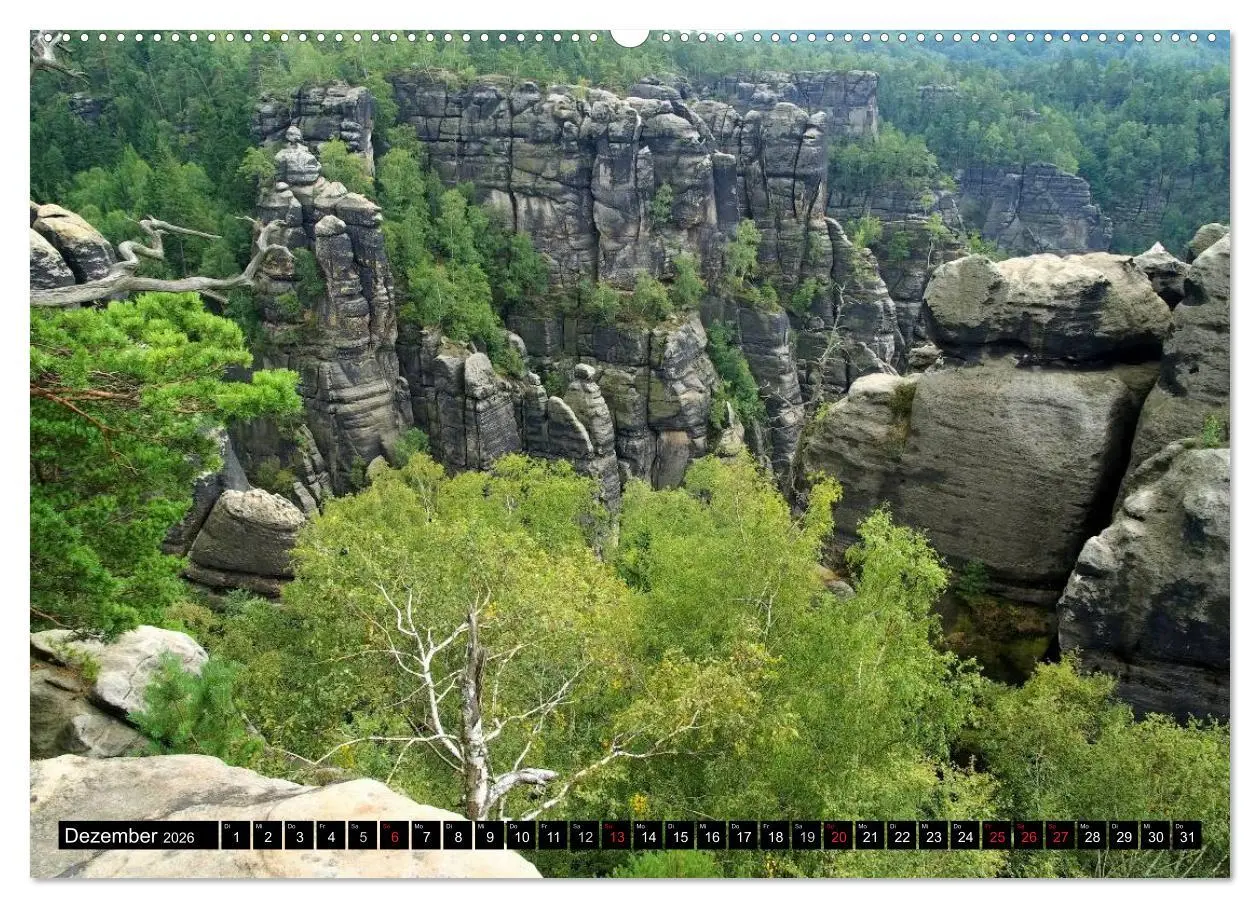 Bild: 9783516137941 | Elbsandsteingebirge (Wandkalender 2026 DIN A2 quer), CALVENDO...