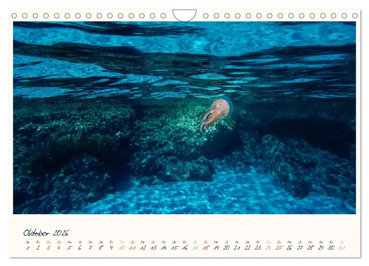 Bild: 9783457938041 | Korsika - Traumhafte Küsten am Mittelmeer (Wandkalender 2026 DIN A4...
