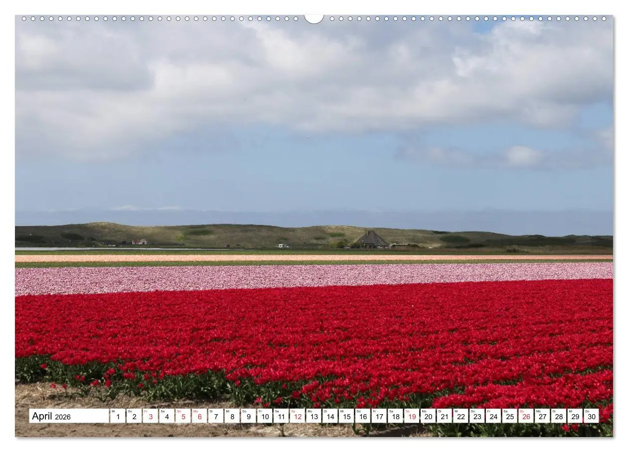 Bild: 9783516028041 | Callantsoog (hochwertiger Premium Wandkalender 2026 DIN A2 quer),...