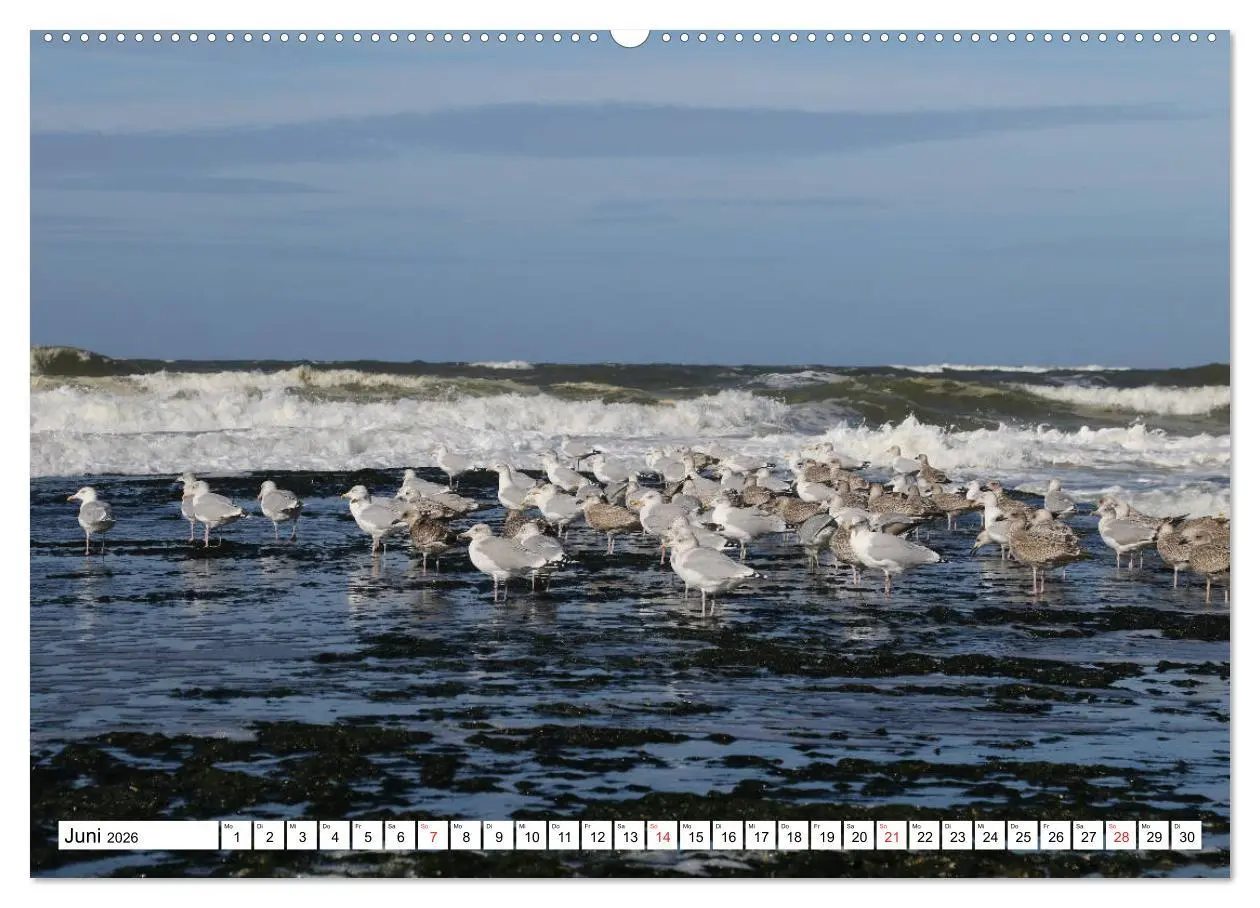 Bild: 9783516028041 | Callantsoog (hochwertiger Premium Wandkalender 2026 DIN A2 quer),...