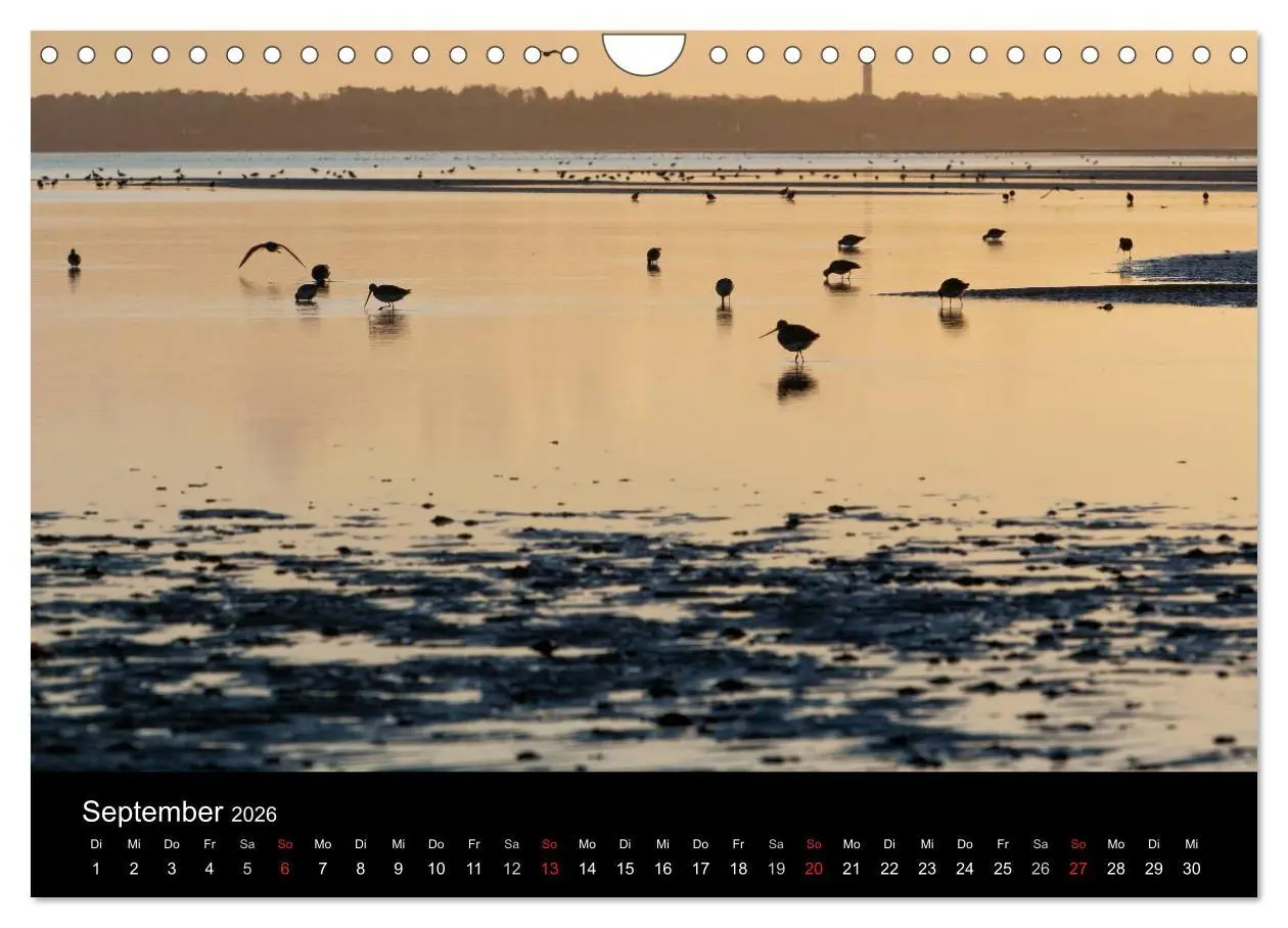Bild: 9783516198041 | Sylt-Abende - Fotografien von Beate Zoellner (Wandkalender 2026 DIN...