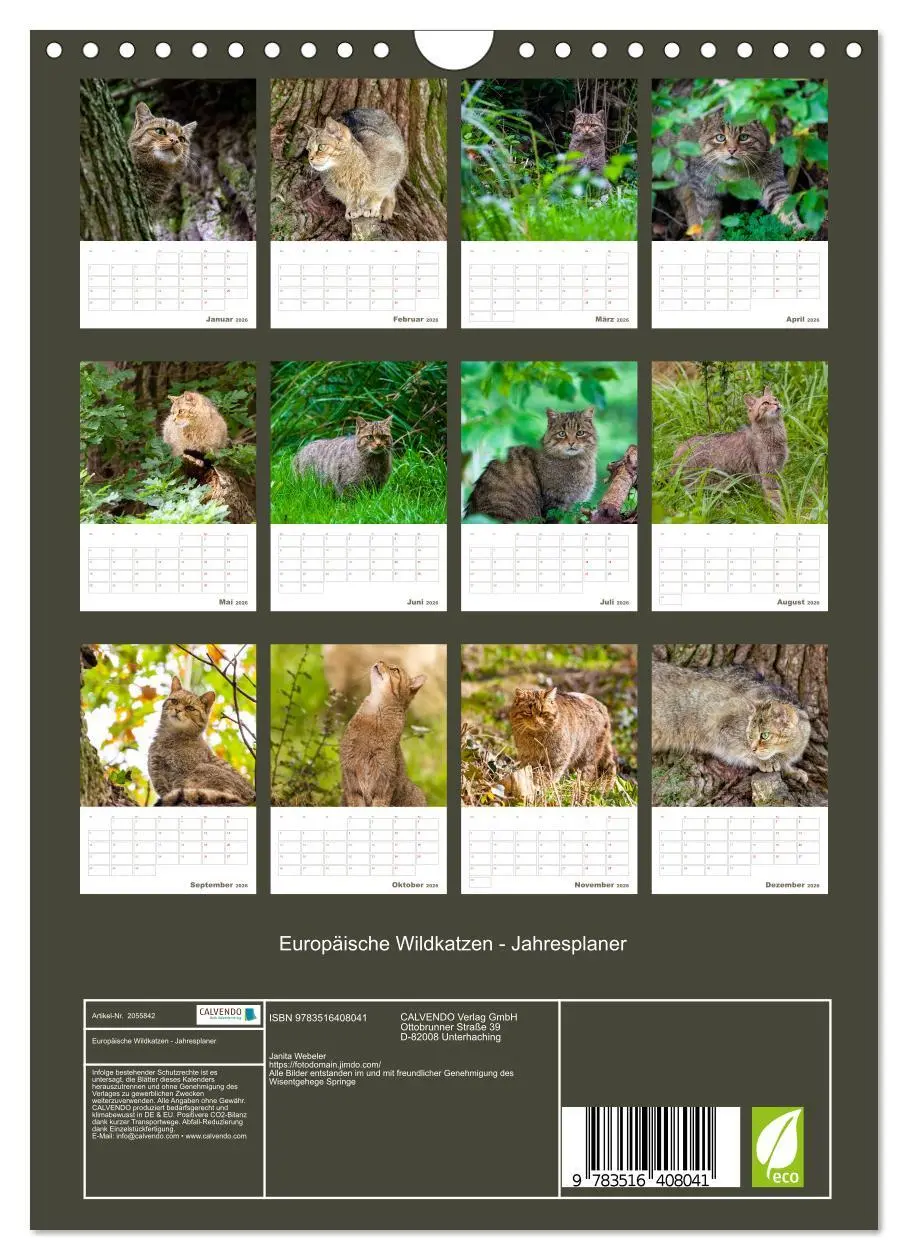 Bild: 9783516408041 | Europäische Wildkatzen - Jahresplaner (Wandkalender 2026 DIN A4...