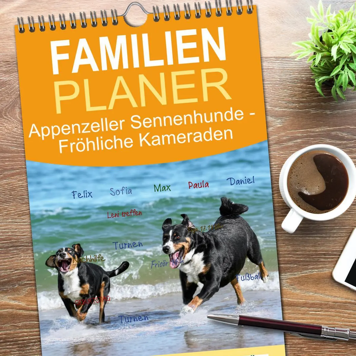 Bild: 9783516498141 | Familienplaner 2026 - Appenzeller Sennenhunde - Fröhliche Kameraden...