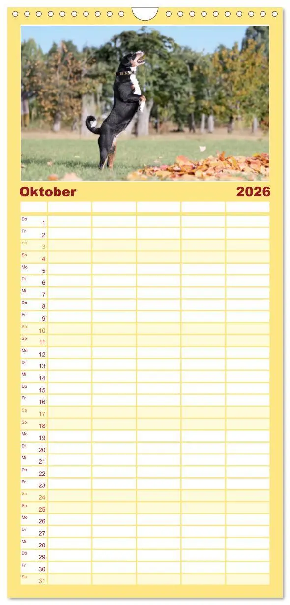 Bild: 9783516498141 | Familienplaner 2026 - Appenzeller Sennenhunde - Fröhliche Kameraden...