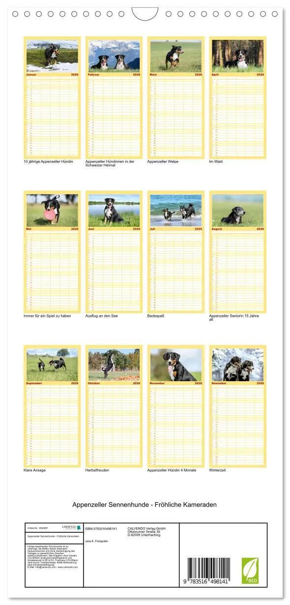 Bild: 9783516498141 | Familienplaner 2026 - Appenzeller Sennenhunde - Fröhliche Kameraden...