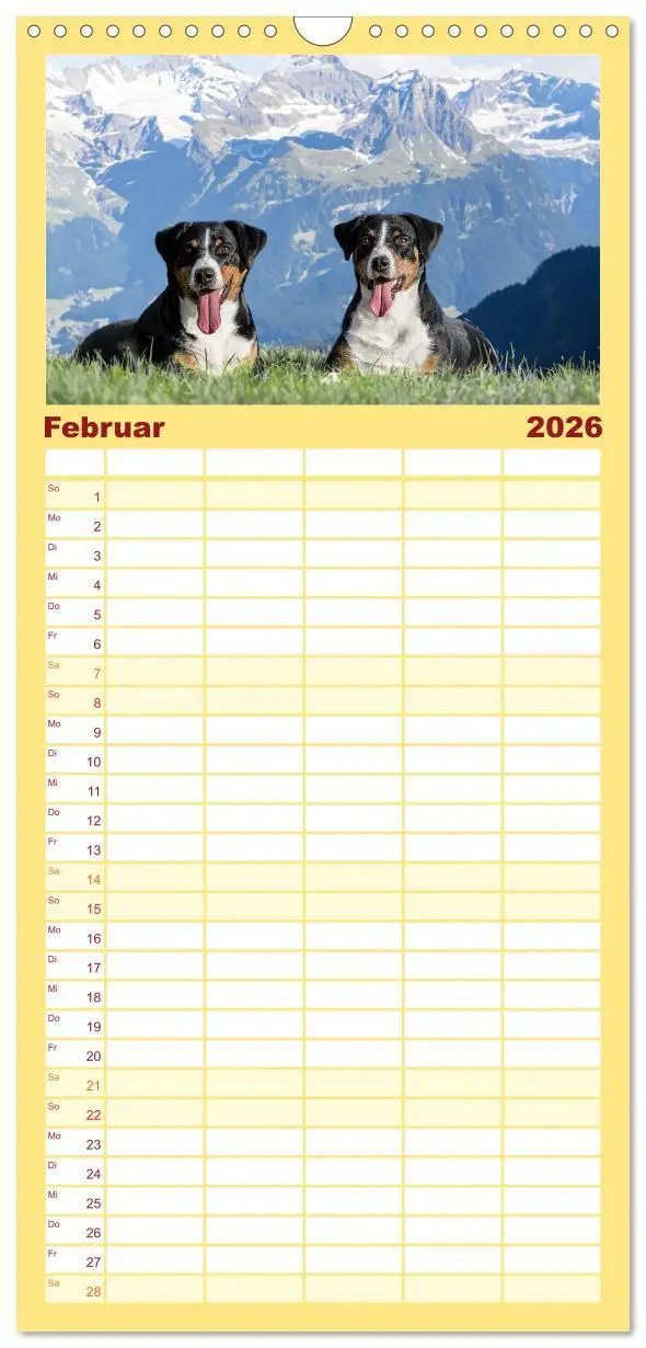 Bild: 9783516498141 | Familienplaner 2026 - Appenzeller Sennenhunde - Fröhliche Kameraden...