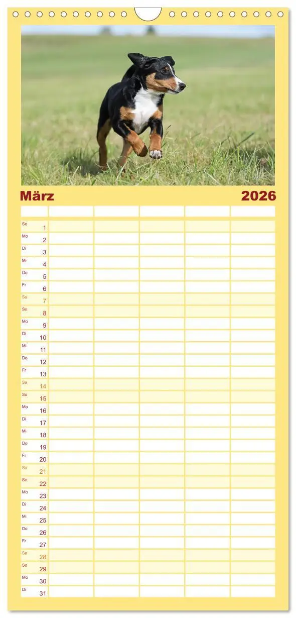 Bild: 9783516498141 | Familienplaner 2026 - Appenzeller Sennenhunde - Fröhliche Kameraden...
