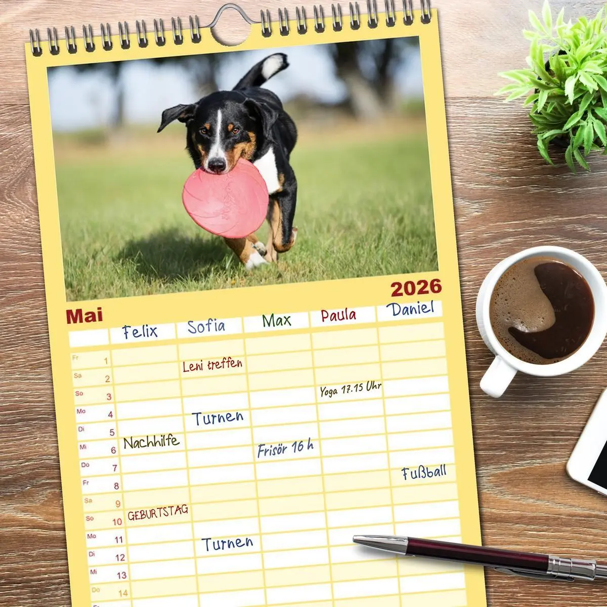 Bild: 9783516498141 | Familienplaner 2026 - Appenzeller Sennenhunde - Fröhliche Kameraden...