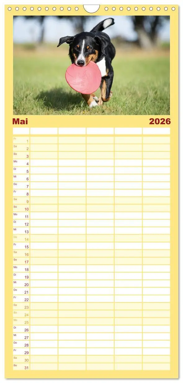 Bild: 9783516498141 | Familienplaner 2026 - Appenzeller Sennenhunde - Fröhliche Kameraden...