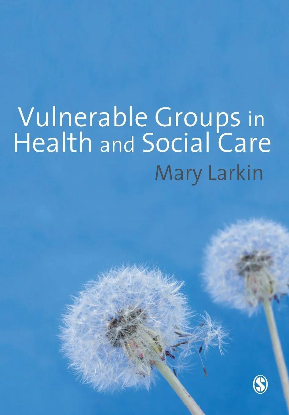 Cover: 9781412948241 | Vulnerable Groups in Health and Social Care | Mary Larkin | Buch