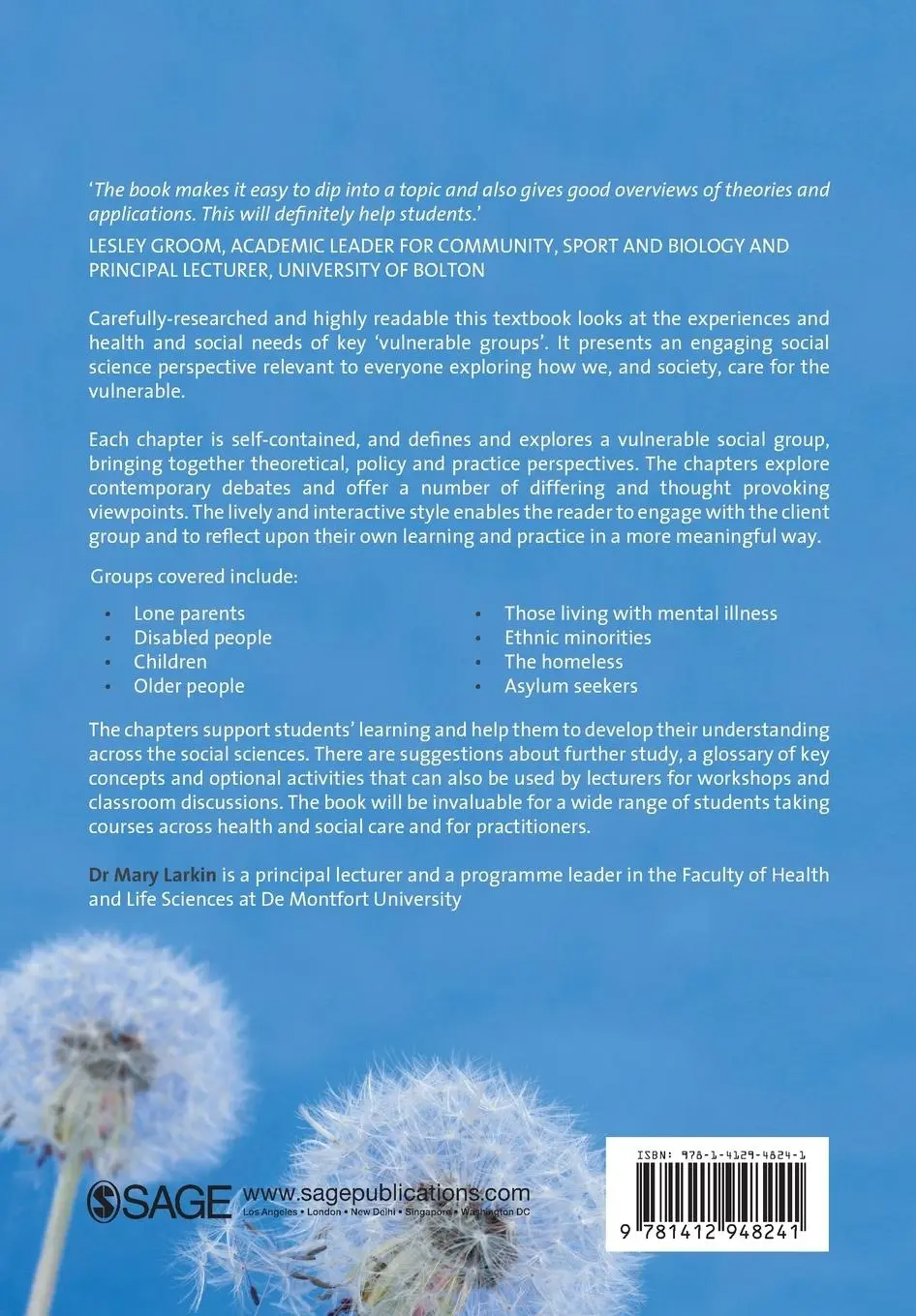 Rückseite: 9781412948241 | Vulnerable Groups in Health and Social Care | Mary Larkin | Buch