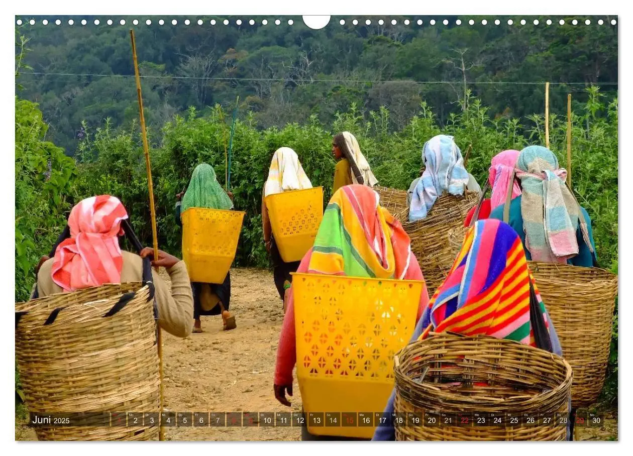 Bild: 9783435688241 | Sri Lanka - Eine Bilder-Reise (Wandkalender 2025 DIN A3 quer),...