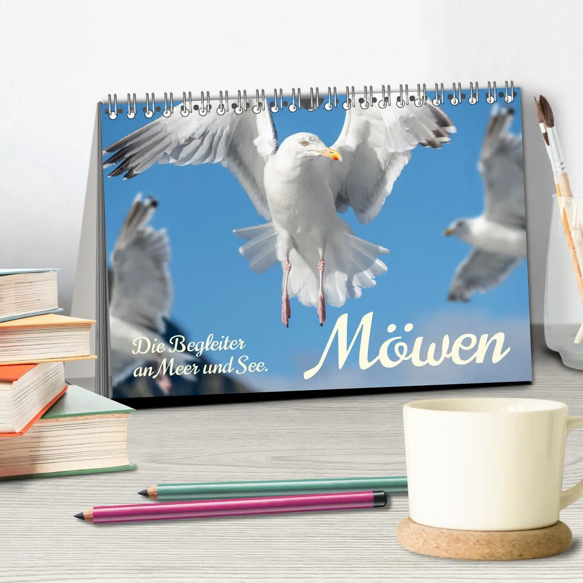 Bild: 9783457398241 | Möwen die Begleiter an Meer und See (Tischkalender 2026 DIN A5...