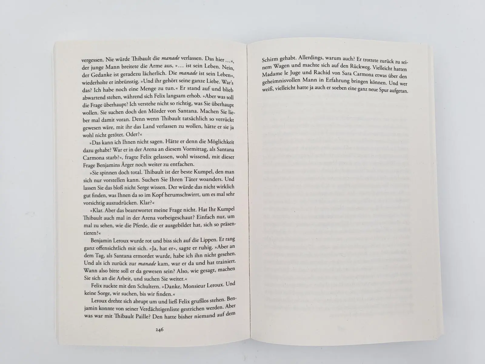 Bild: 9783492318341 | Die Richterin und der Tanz des Todes | Liliane Fontaine | Taschenbuch