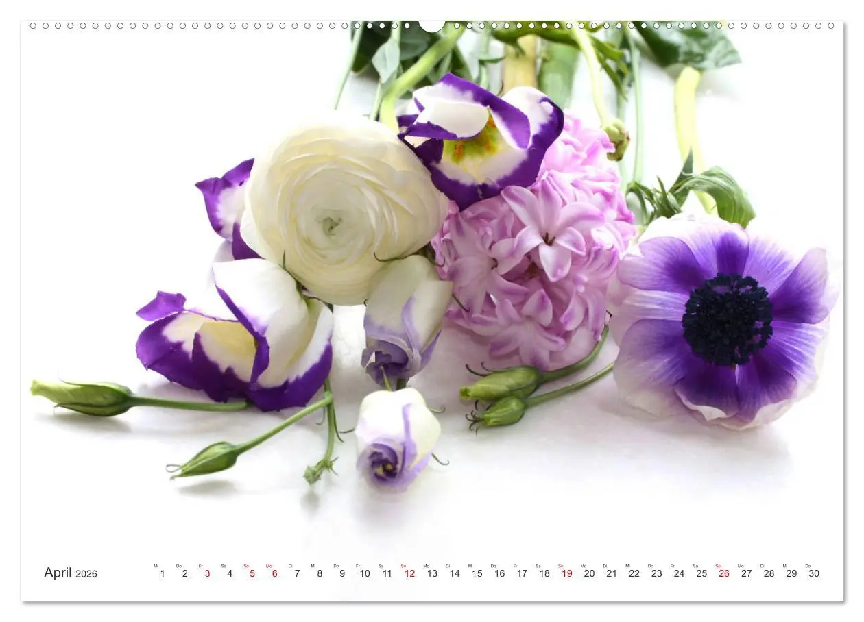 Bild: 9783457828441 | Blumenlust (Wandkalender 2026 DIN A2 quer), CALVENDO Monatskalender