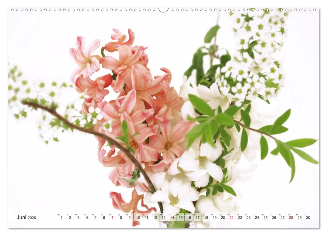 Bild: 9783457828441 | Blumenlust (Wandkalender 2026 DIN A2 quer), CALVENDO Monatskalender