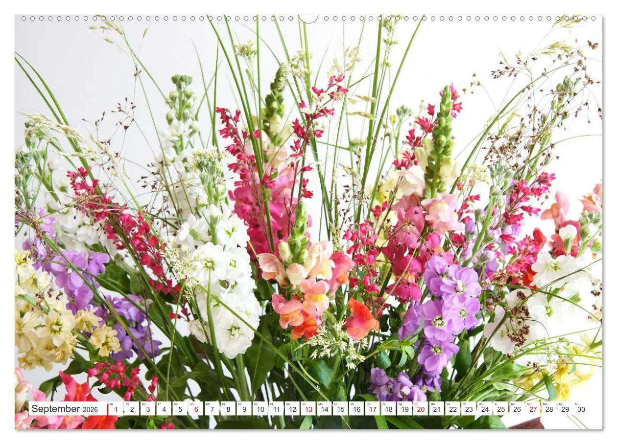 Bild: 9783457828441 | Blumenlust (Wandkalender 2026 DIN A2 quer), CALVENDO Monatskalender