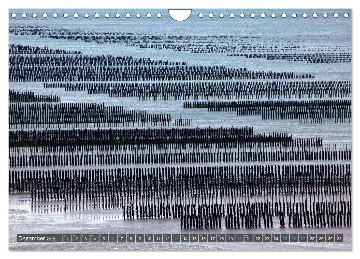 Bild: 9783516158441 | Farben der Bretagne (Wandkalender 2026 DIN A4 quer), CALVENDO...