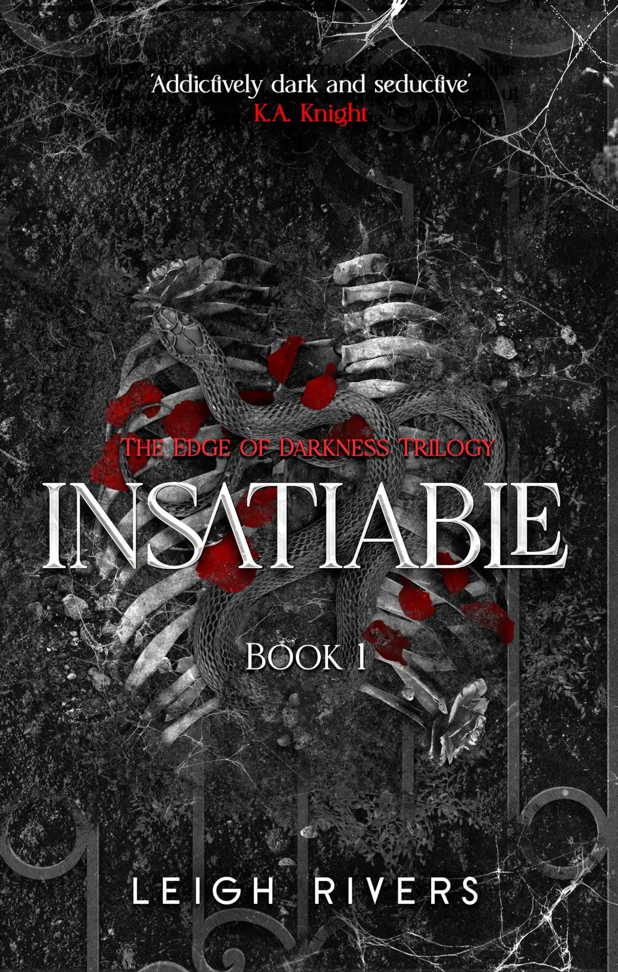 Cover: 9780349448541 | Insatiable. Deluxe Edition | Leigh Rivers | Taschenbuch | Englisch