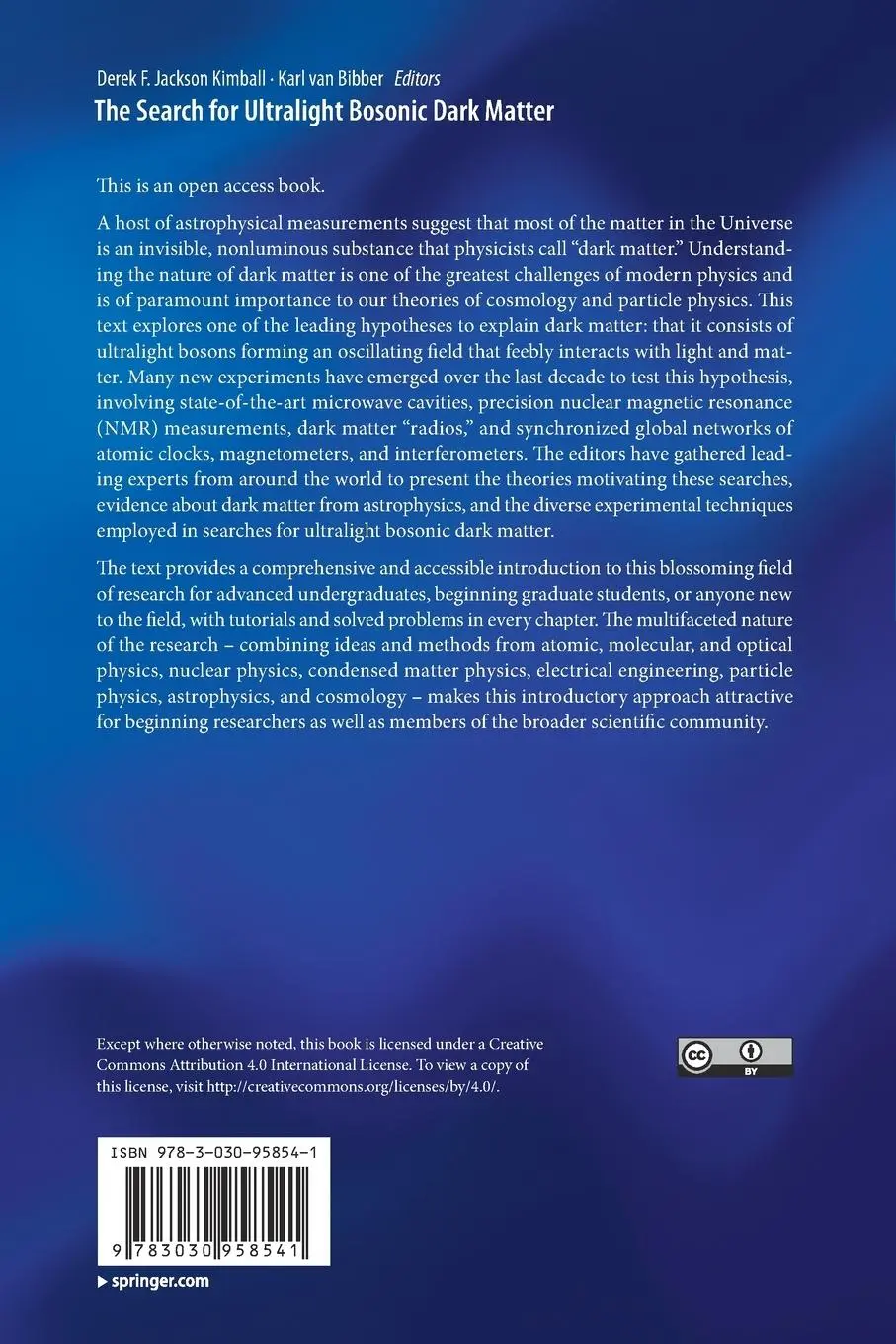 Rückseite: 9783030958541 | The Search for Ultralight Bosonic Dark Matter | Bibber (u. a.) | Buch