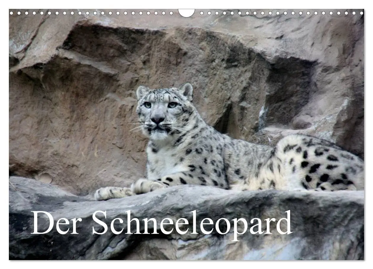 Cover: 9783516148541 | Der Schneeleopard (Wandkalender 2026 DIN A3 quer), CALVENDO...