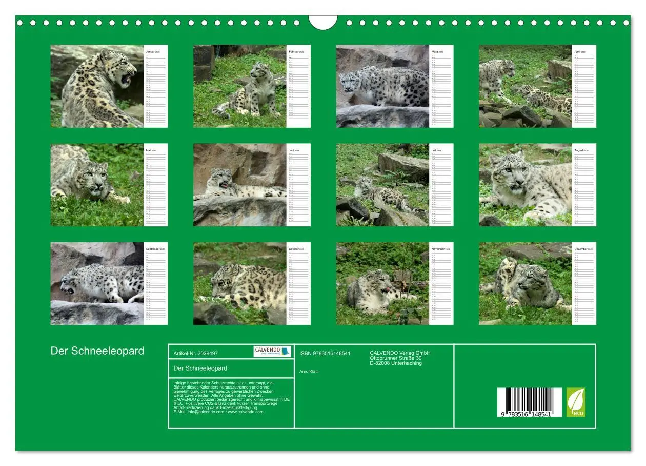 Bild: 9783516148541 | Der Schneeleopard (Wandkalender 2026 DIN A3 quer), CALVENDO...
