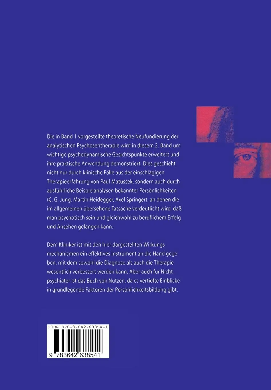 Rückseite: 9783642638541 | Analytische Psychosentherapie | 2 Anwendungen | Paul Matussek | Buch