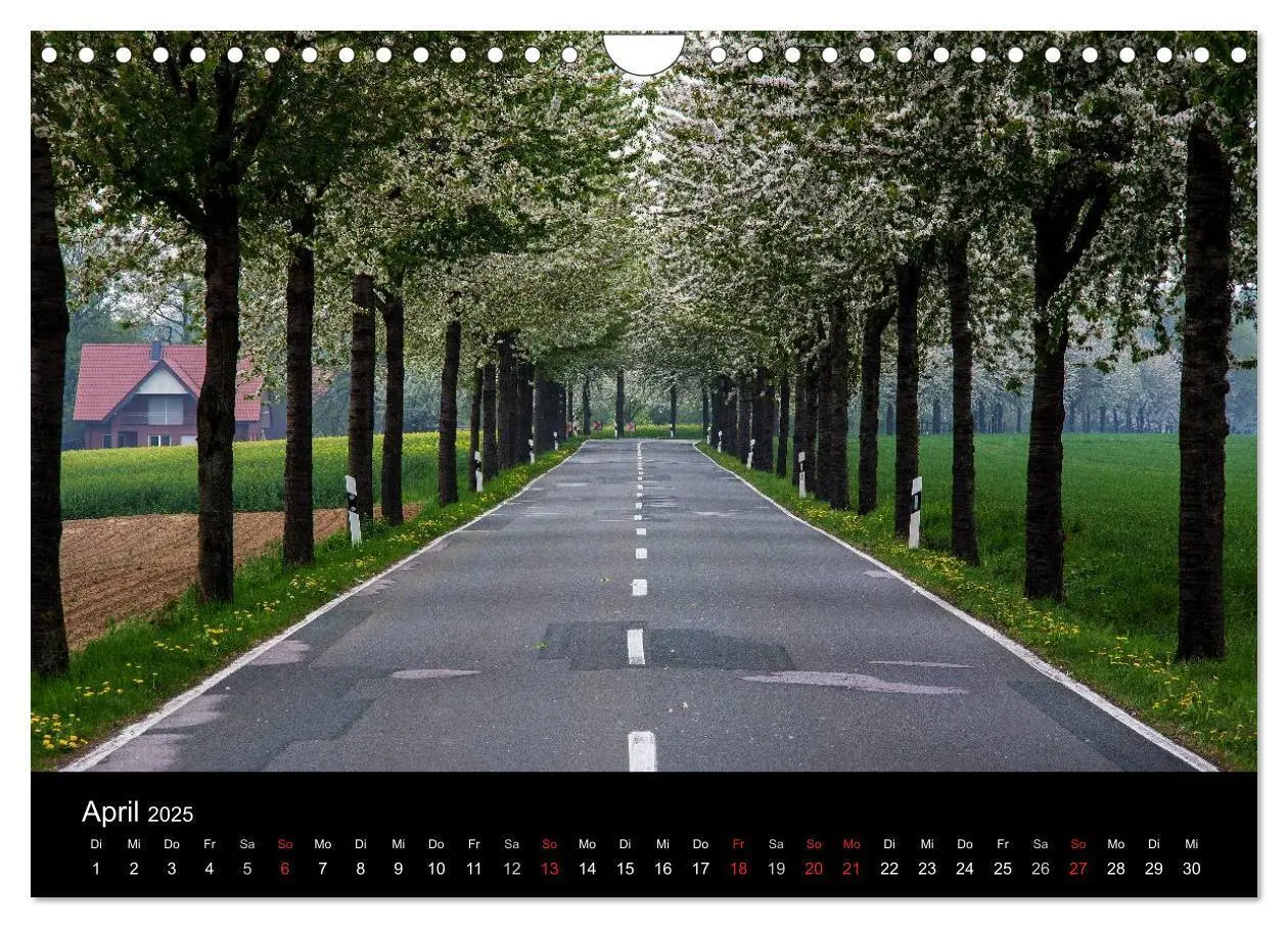 Bild: 9783435648641 | 365 Tage Herford (Wandkalender 2025 DIN A4 quer), CALVENDO...