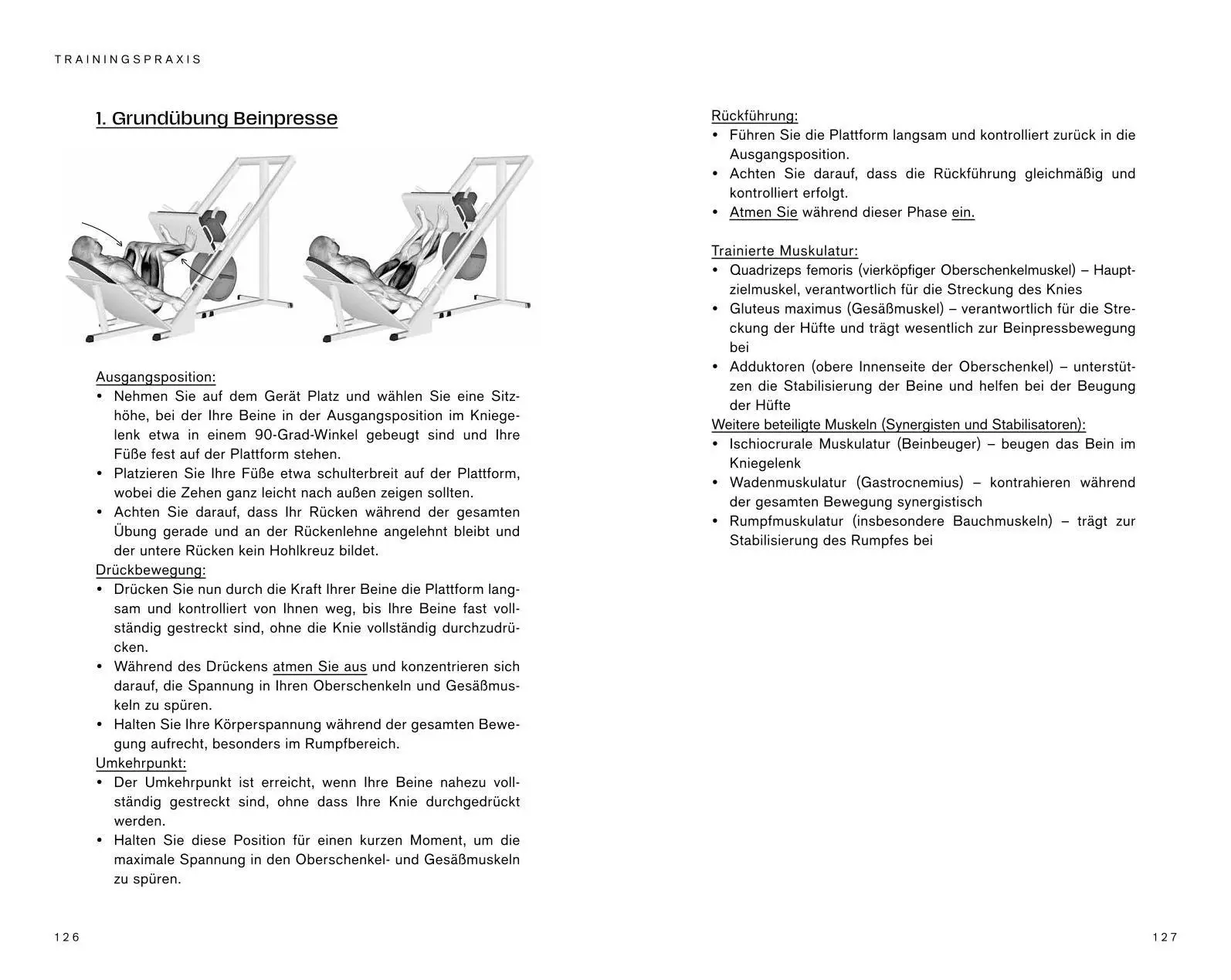 Bild: 9783708808741 | Reverse Aging | Warum fitte Muskeln unseren Stoffwechsel verjüngen