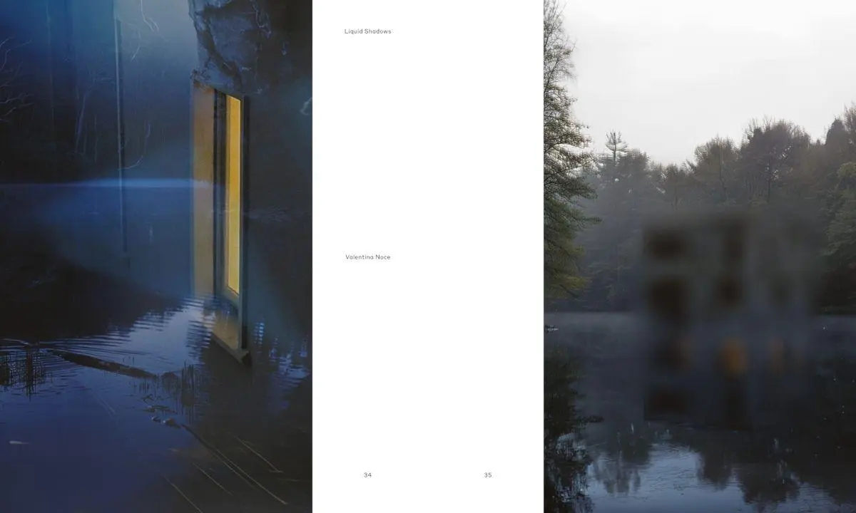 Bild: 9783775758741 | DELUS. Journal for Landscape and Urban Studies | Issue 1 | Taschenbuch
