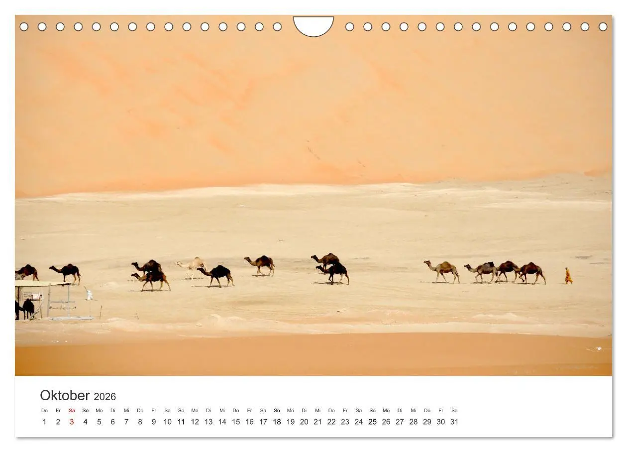 Bild: 9783457578841 | Kamele - die wahren Überlebenskünstler der Wüste. (Wandkalender...