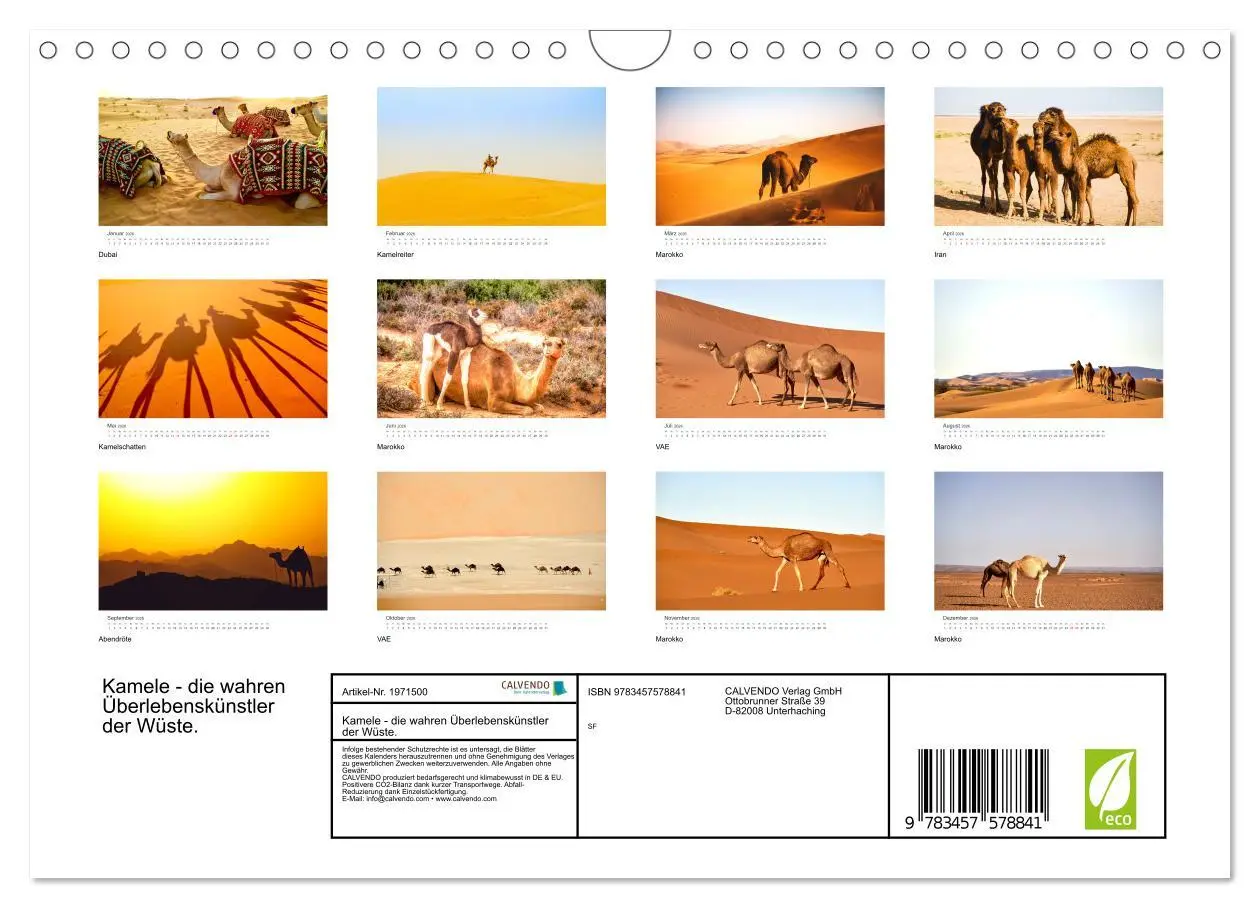 Bild: 9783457578841 | Kamele - die wahren Überlebenskünstler der Wüste. (Wandkalender...