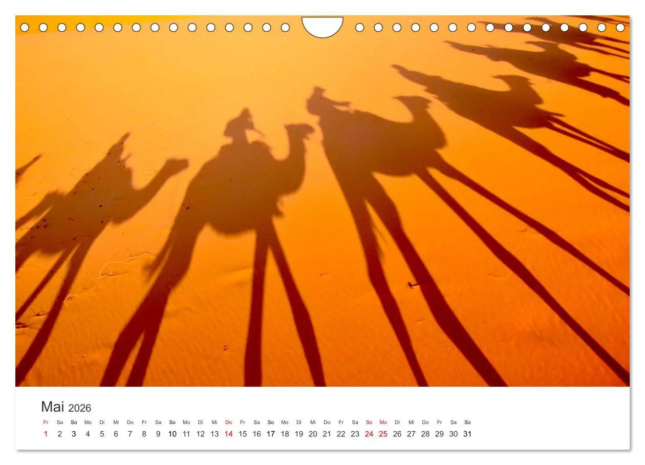 Bild: 9783457578841 | Kamele - die wahren Überlebenskünstler der Wüste. (Wandkalender...