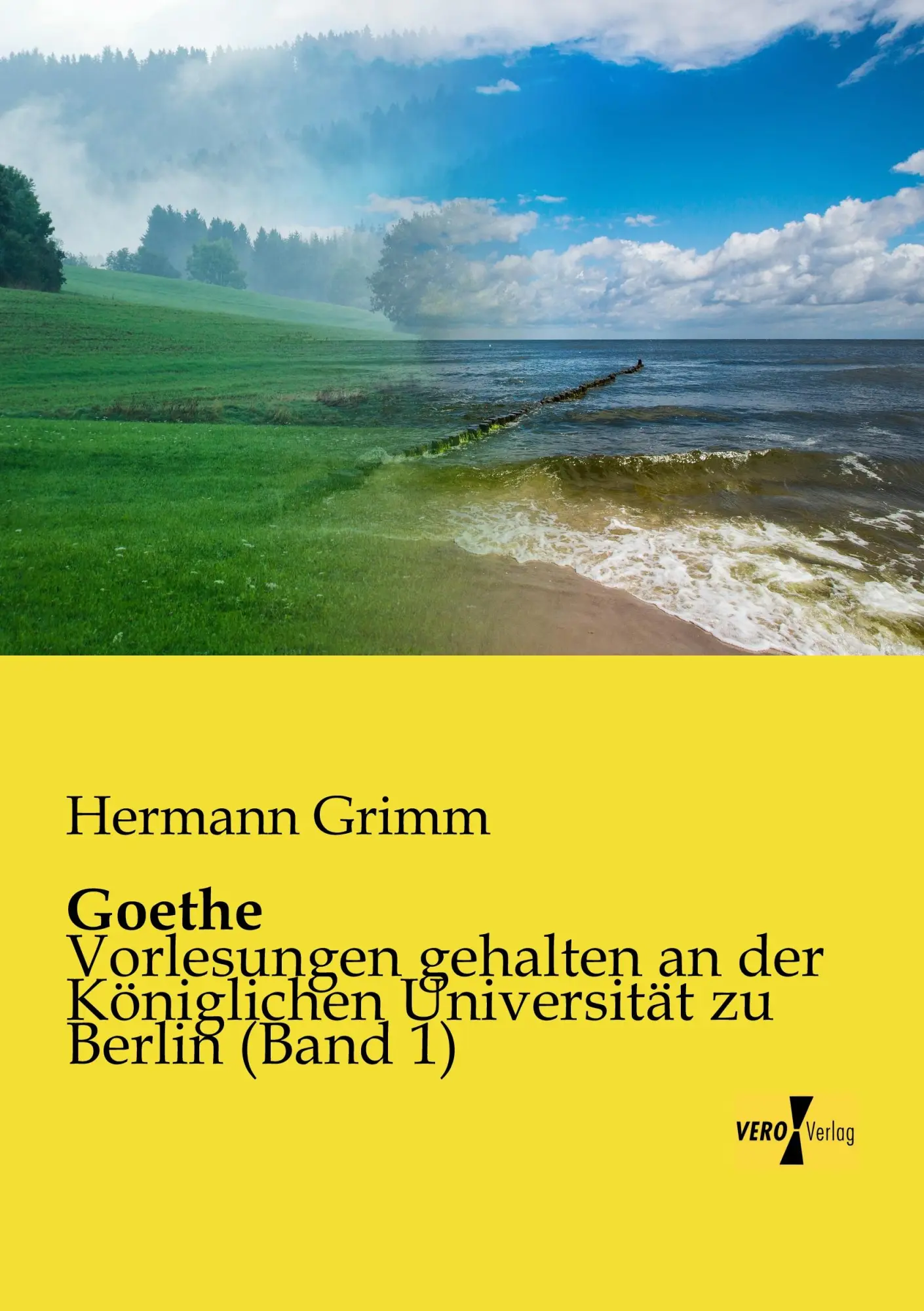 Cover: 9783957388841 | Goethe | Hermann Grimm | Taschenbuch | 356 S. | Deutsch | 2014