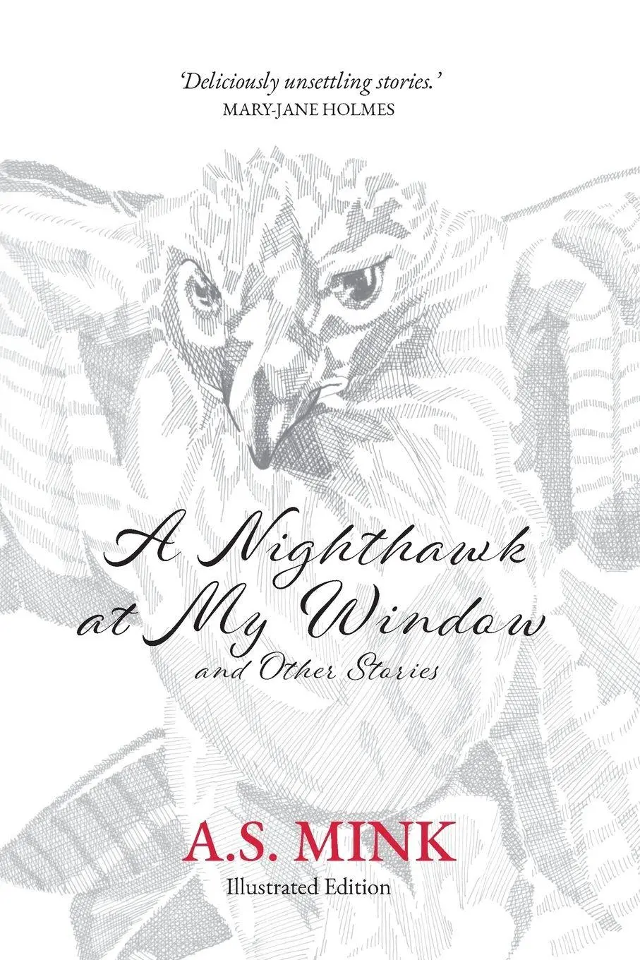 Cover: 9789083348841 | A Nighthawk at My Window and Other Stories (Illustrated Edition)