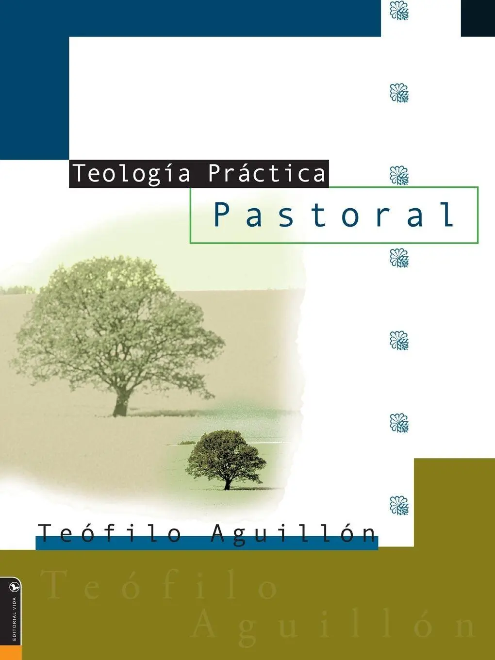 Cover: 9780829728941 | El Teologia Practica Pastoral = Practical Theology | Teofilo Aguillon