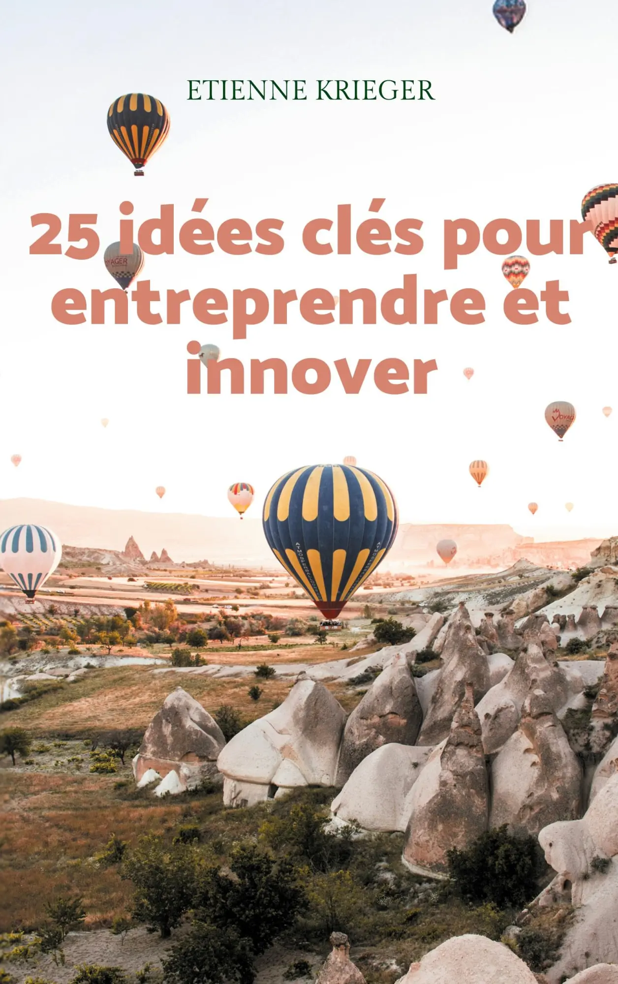 Cover: 9782322618941 | 25 idées clés pour entreprendre et innover | Etienne Krieger | Buch