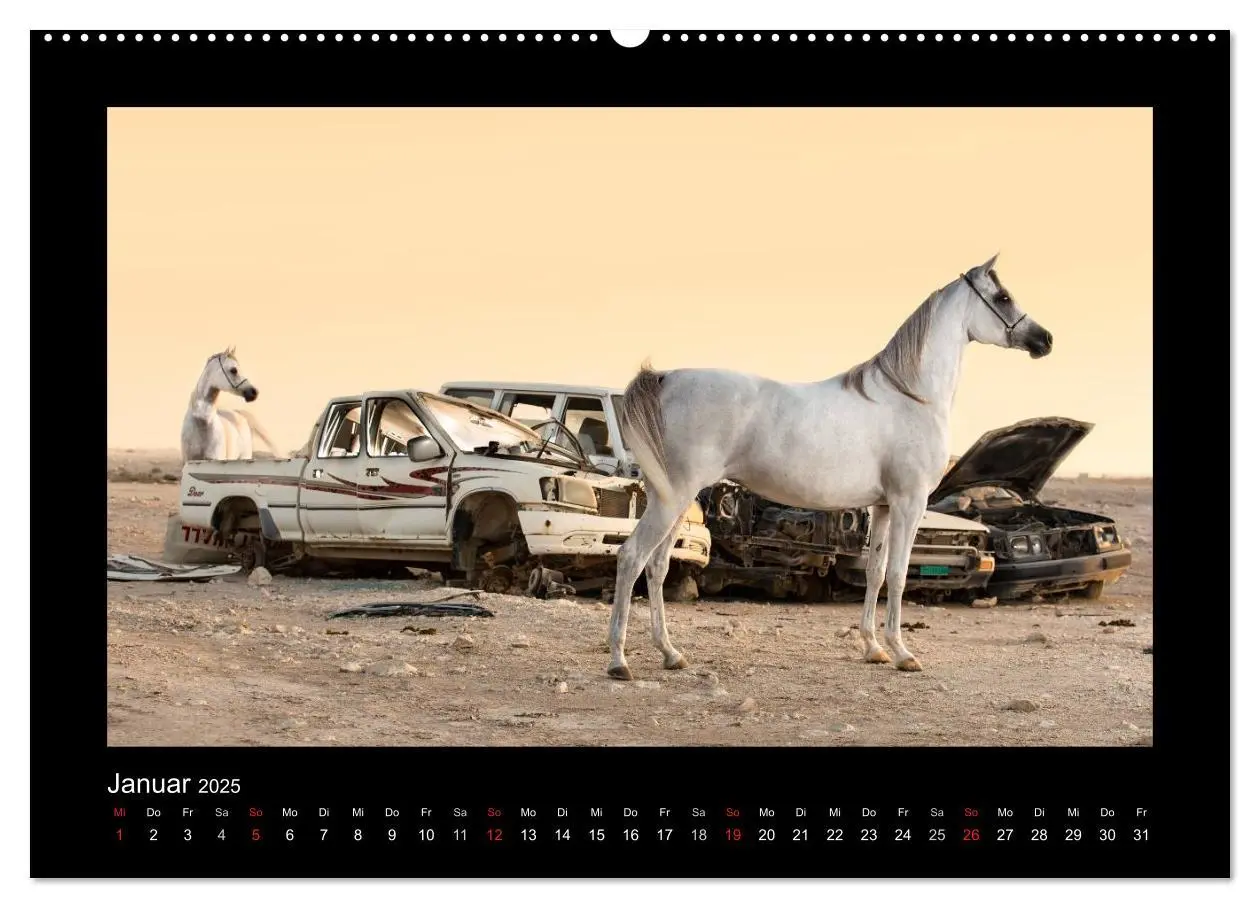 Bild: 9783435788941 | Vollblutaraber (Wandkalender 2025 DIN A2 quer), CALVENDO...