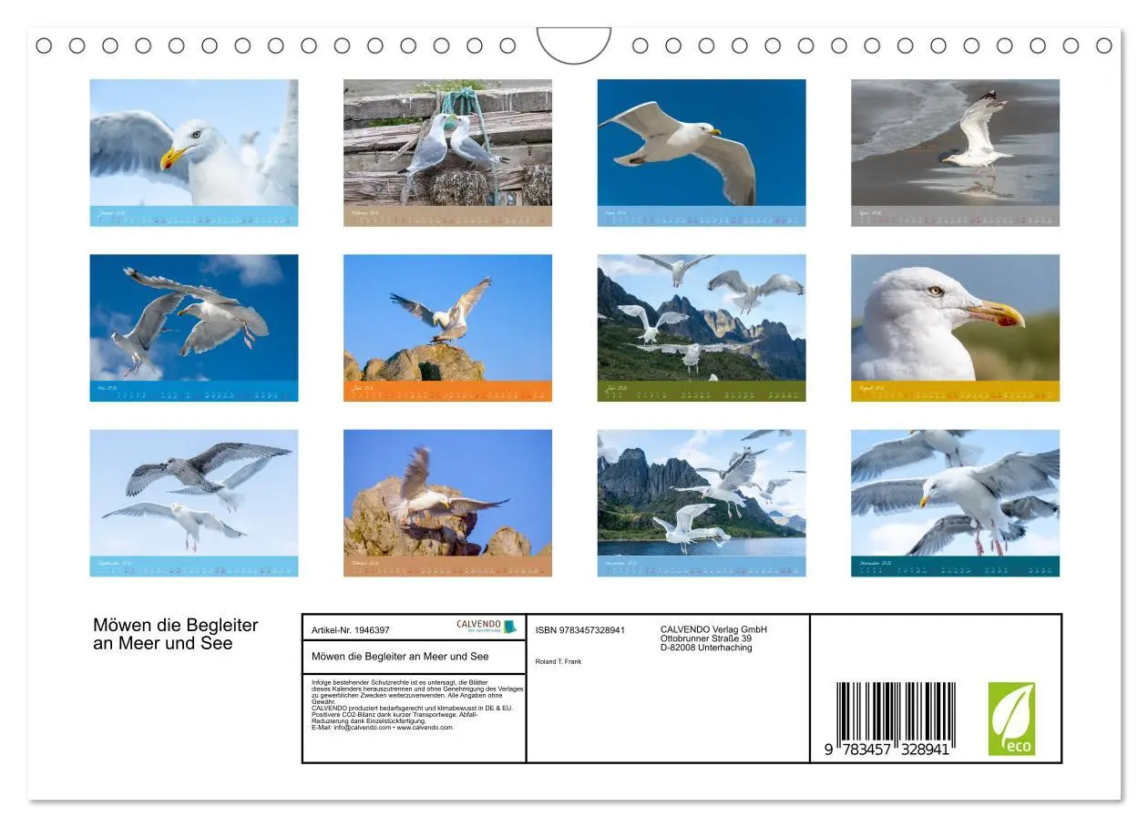 Bild: 9783457328941 | Möwen die Begleiter an Meer und See (Wandkalender 2026 DIN A4...