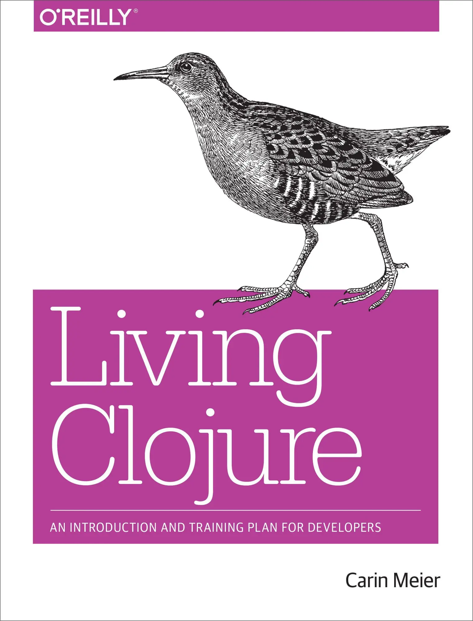 Cover: 9781491909041 | Living Clojure | An Introduction and Training Plan for Developers